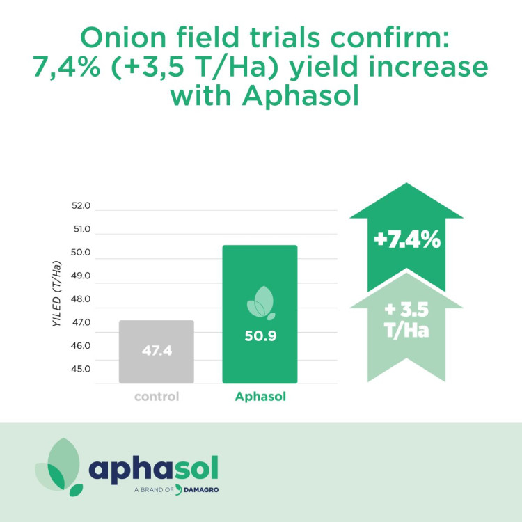 onion-field-trials-graph_square.jpg