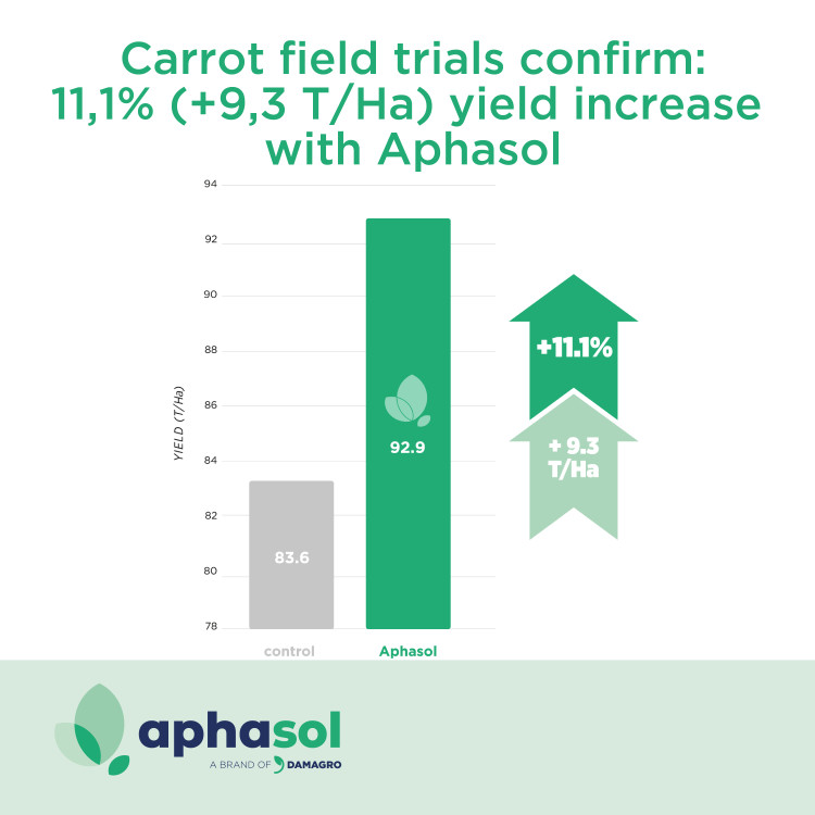 carrots-yield_square.jpg