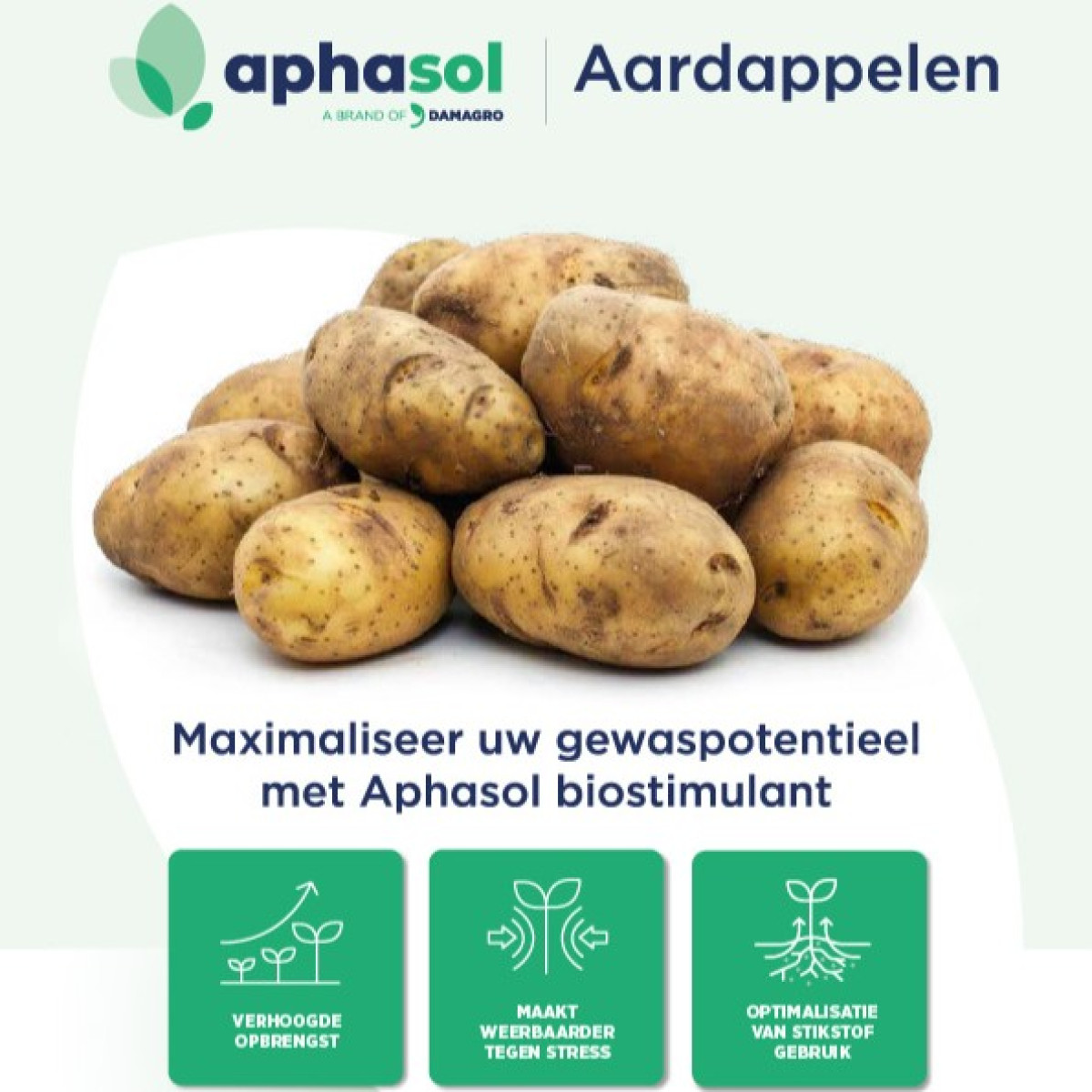 Maximaliseer je gewaspotentieel met Aphasol biostimulant