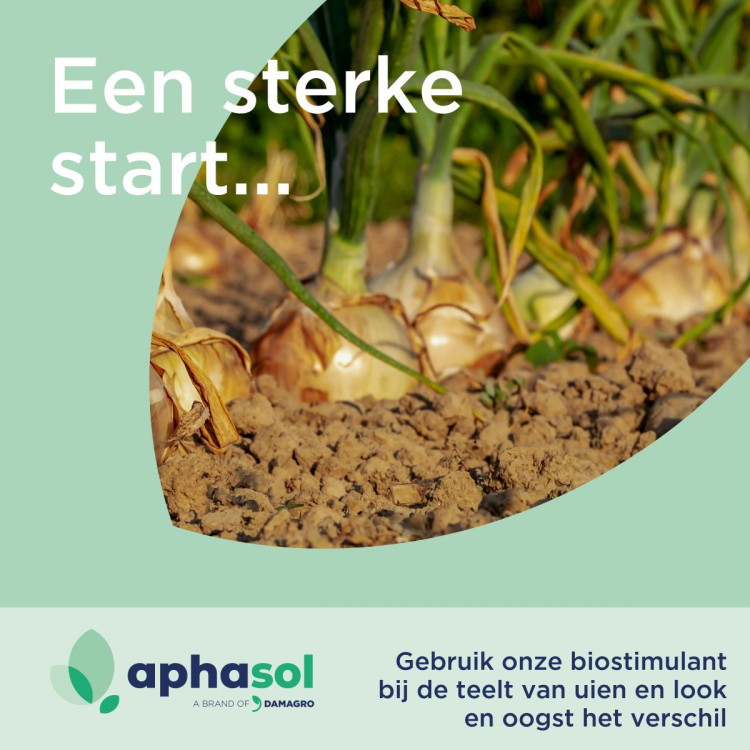 De eerste ajuinen komen piepen op het veld! Wat nu?
