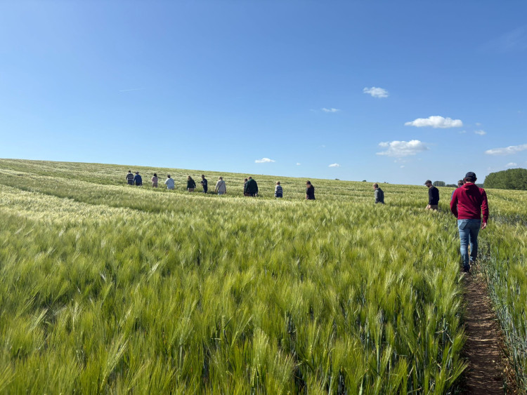 Grow2Brew: toegepast onderzoek voor de brouwgerst van morgen