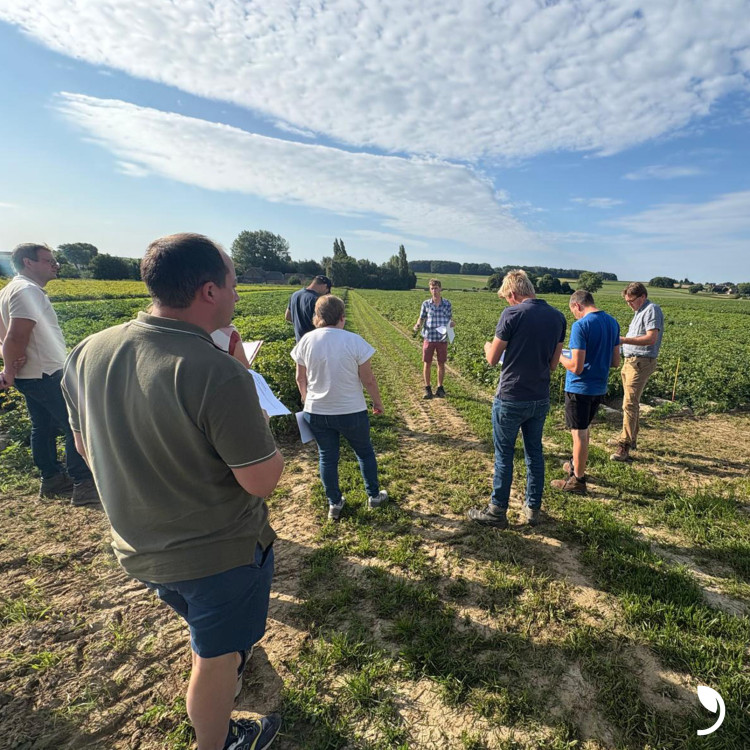 Damagro betrokken bij KODA-project rond duurzame aardappelteelt