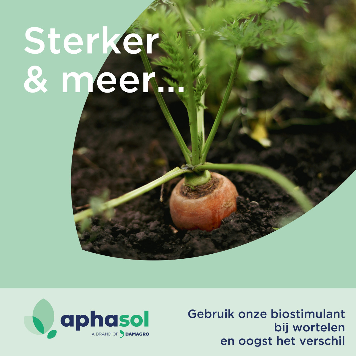 Waarom wortelen behandelen met een biostimulant?
