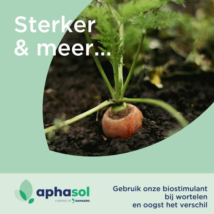 Waarom wortelen behandelen met een biostimulant?