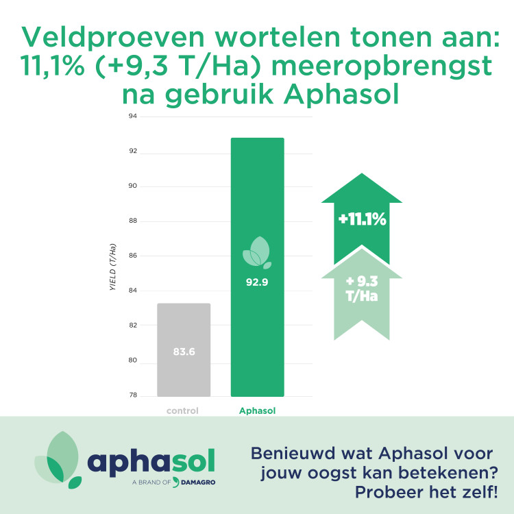 wortelen_aphasol-nl_proeven-witte-achtergrond_square.jpg
